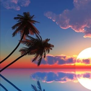 Meet your Posher, Brandi